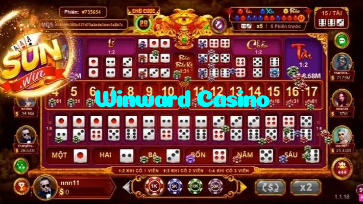 available types of Winward Casino bet including pre-match live express and system bets