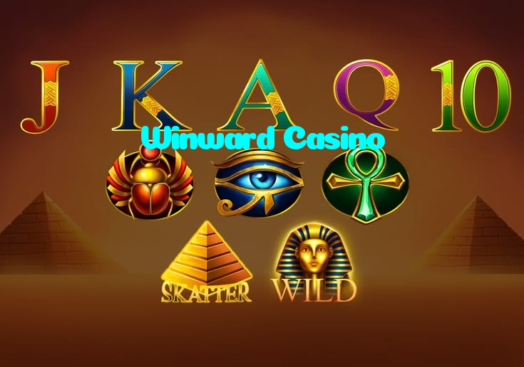 available types of Winward Casino bet including pre-match live express and system bets